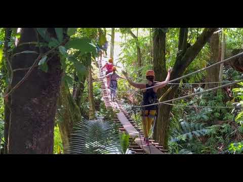 Zip Isle Zipline | Botanical World Adventures