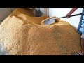 How Rice Is Grown In Taiwan Rice Planting And Harvesting Process 稻米的一生 米的種植和收�
