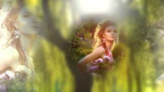 🌟 WILLOW WEEP FOR ME_DAVID SANBORN 🌟