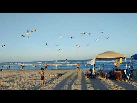 ඇමරිකාවෙ සුන්දර වෙරළක සැන්දැවක් Beautiful Freeport Beach 🏝️ 🇺🇸🌊