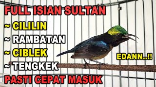 Download lagu KONIN GACOR FULL ISIAN TEMBAKAN CILILIN, RAMBATAN & CIBLEK ! AMPUH BUAT MASTERAN KOLIBRI NINJA BAHAN mp3 Download lagu KONIN GACOR FULL ISIAN TEMBAKAN CILILIN, RAMBATAN & CIBLEK ! AMPUH BUAT MASTERAN KOLIBRI NINJA BAHAN mp3