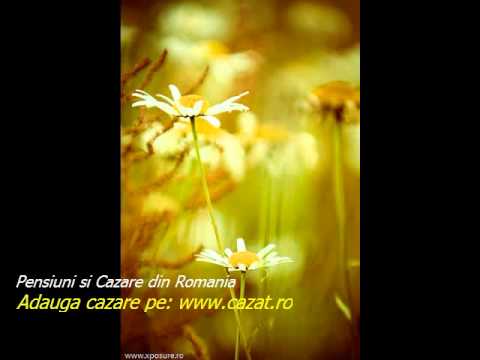 Cazare Cocorastii Colt, Prahova - Cazat.ro