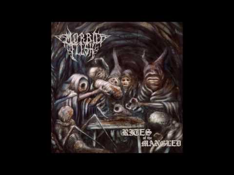 Morbid Flesh - Burn The Entrails