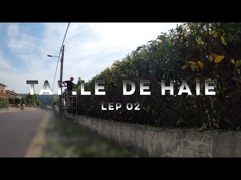 Tonte pelouse grand terrain Chappes