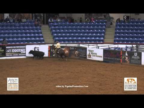 CD Shining Lights ridden by Danny Rumph - 2015 NRCHA Celebration of Champs Fence Work - NP Derby