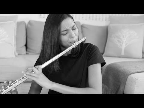 Shallow - Bradley Cooper & Lady Gaga Flute Cover