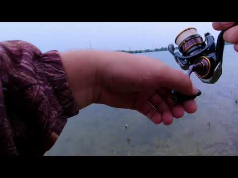 562UL 0.8-8 грамм