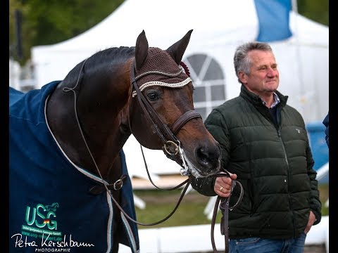 Franziskus - CDI 4*  -Grand Prix Kür - Horses & Dreams Hagen 2019