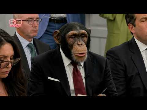 "60 SECONDS" - More Iran Deals