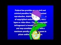 FBI Warning Everything Else Volume 2