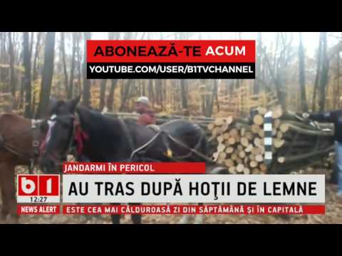 STIRI B1TV- RAZBOI IN ARGES, JANDARMII AU TRAS DUPA HOTII DE LEMNE