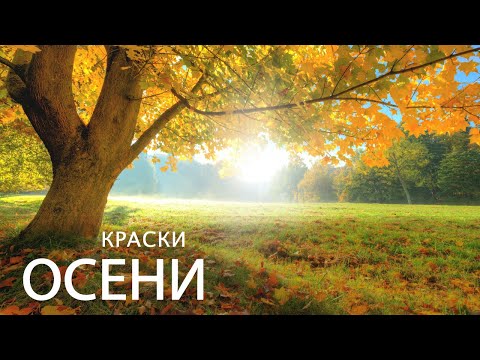 Краски осени. Южный Урал ⁴ᴷ