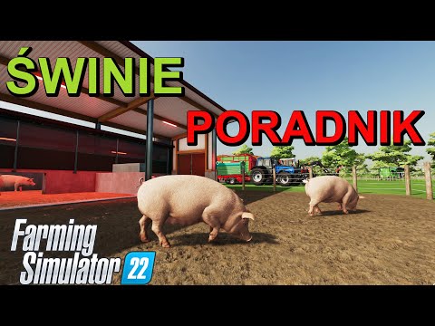 , title : 'Świnie 🐷🐖🐖  Hodowla Poradnik Farming Simulator 22'