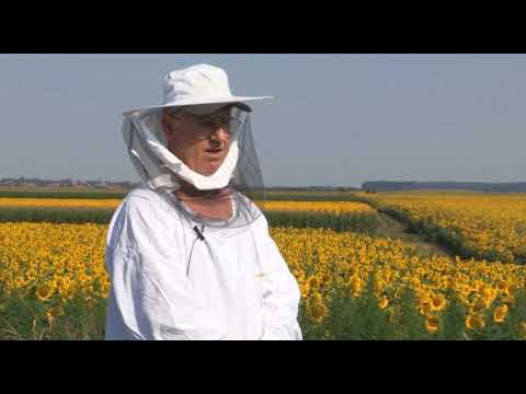 Boja meda ep. 21 31.07.2018. NAJAVA