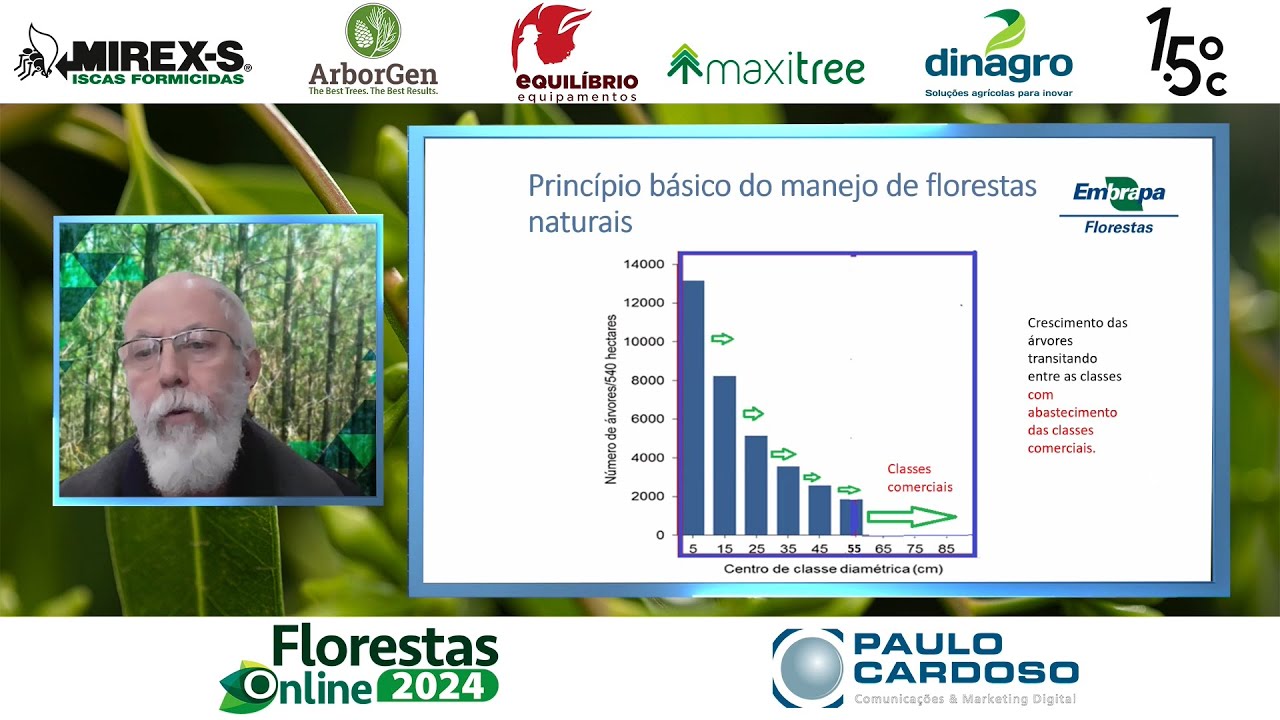 Manejo de Florestas naturais: o único uso sustentável para áreas florestais - Florestas Online 2024