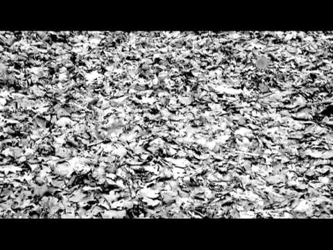 Marko Bokun - The Dremthief - Deja-Move Remix