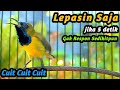 CUIT CUIT SOGON GACOR PENAIK EMOSI SOGON TROTOL GACOR DOR LANGSUNG NAIK NEMBAK PANJANG FULL ISIAN