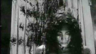 R.E.M - Lotus R.E.M - Lotus