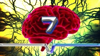 7 Incredible Things Your Brain Didnt Know About Your Brain