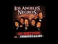 Los Angeles Negros - Si Las Flores Pudieran Hablar