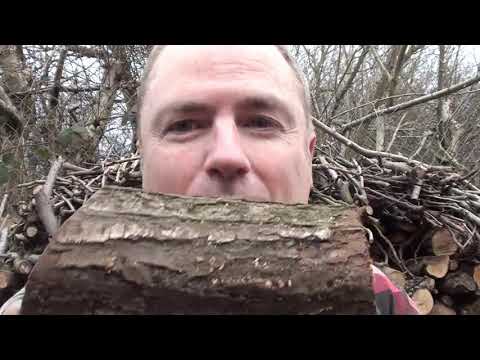 download lagu mp3 mp4 What Kind Of Wood Is A Yule Log, download lagu What Kind Of Wood Is A Yule Log gratis, unduh video klip What Kind Of Wood Is A Yule Log