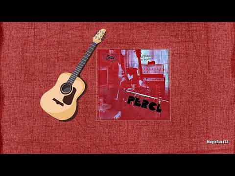Ivica Percl - Gitara u noći