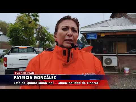 INCENDIO AFECTA DEPENDENCIAS MUNICIPALES EN LINARES