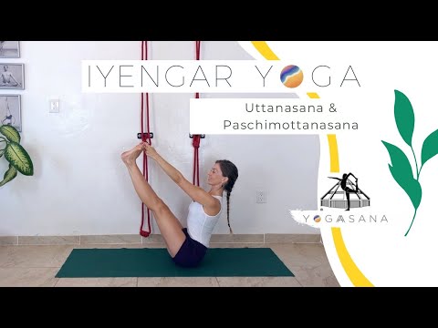 IYENGAR YOGA - Uttanasana & Paschimottanasana