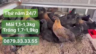 Thứ năm 24/07