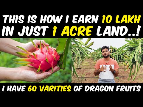 , title : 'Dragon Fruit Farming in India | Dragon Fruit Cultivation | A Complete Guide for Beginners'