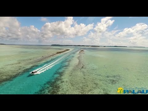 Pristine Paradise. Palau