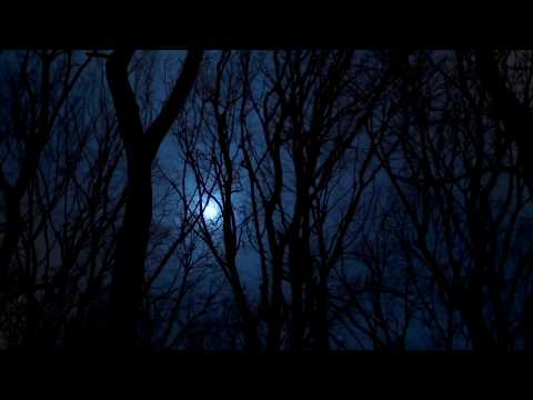 Angelsoul - Terror (Halloween 2019) (Visual Video)