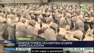 Mexico: Bird Flu outbreak triggers increases in food prices