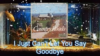 I Just Can’t Let You Say Goodbye   Willie Nelson