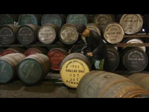 Was Du immer schon über Whisky wissen wolltest