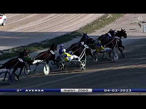 Aversa trotto 4 Febbraio 2023 - 3° Corsa