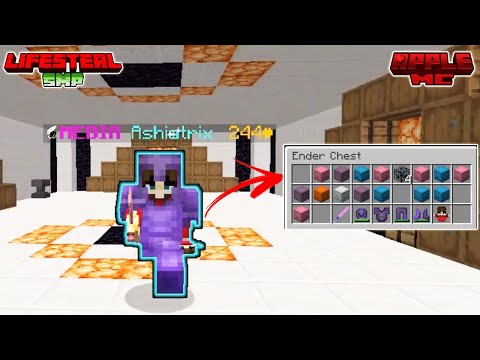 I Became OVERPOWERED On This Minecraft SMP !!! Apple Mc Minecraft LifeSteal SMP in Hindi