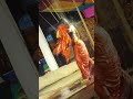 Tip Tip Barsa Pani Hot Dance