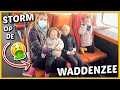 LUXY VALT HiERVAN iN SLAAP OP DE WADDENZEE  ? | Bellinga Vlog #1759
