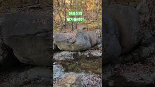 Download lagu 천성산의 늦가을정취#쓸쓸함이~♡ mp3