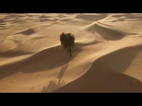 Somebody's Out There Watchin'