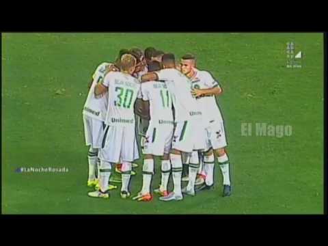 DVD SCALON - CHAPECOENSE