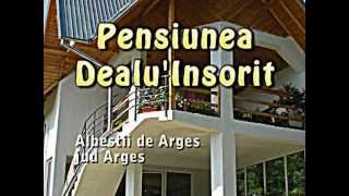 preview picture of video 'Pensiunea Dealu' Insorit, Albestii de Arges, cazare, rezervare directa'