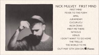 Nick Mulvey &#39;First Mind&#39; Album Sampler