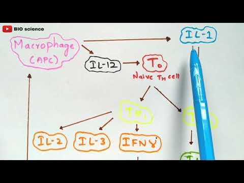 Hypersensitivity Type 1 and Type 2