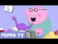 Peppa TV Peppa S Pirate Adventure ️ Peppa