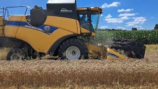 New Holland CX 5.80 kombajn za žito | Slika 4 - Agroline