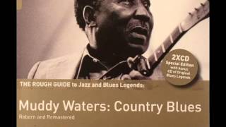 Muddy Waters " Louisiana Blues"