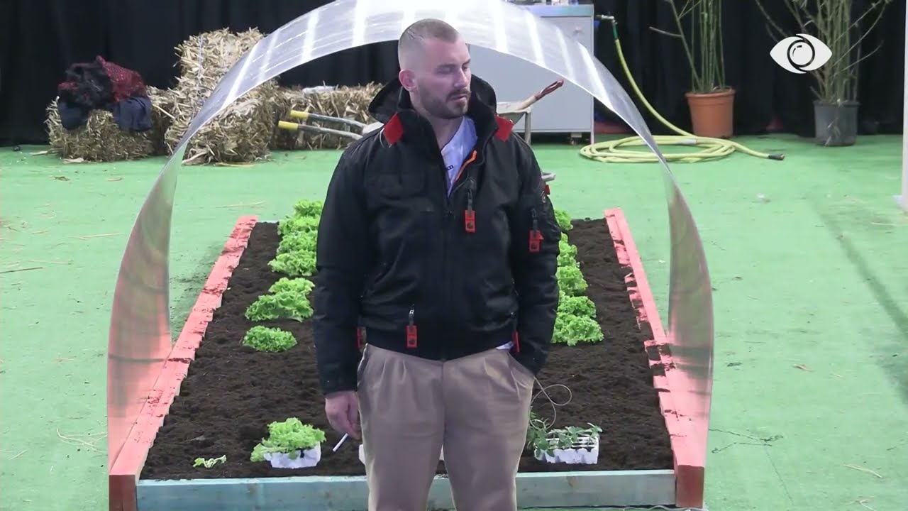 Romeo-Heidit për Gracianon: I hipën trenit të budallallikut dhe vazhdon, nuk ka cipë