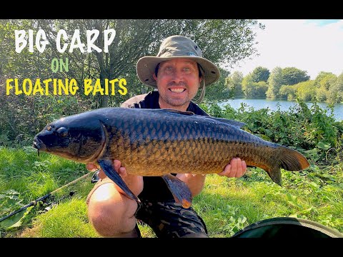 EPISODE 12. Big Carp on floating baits.